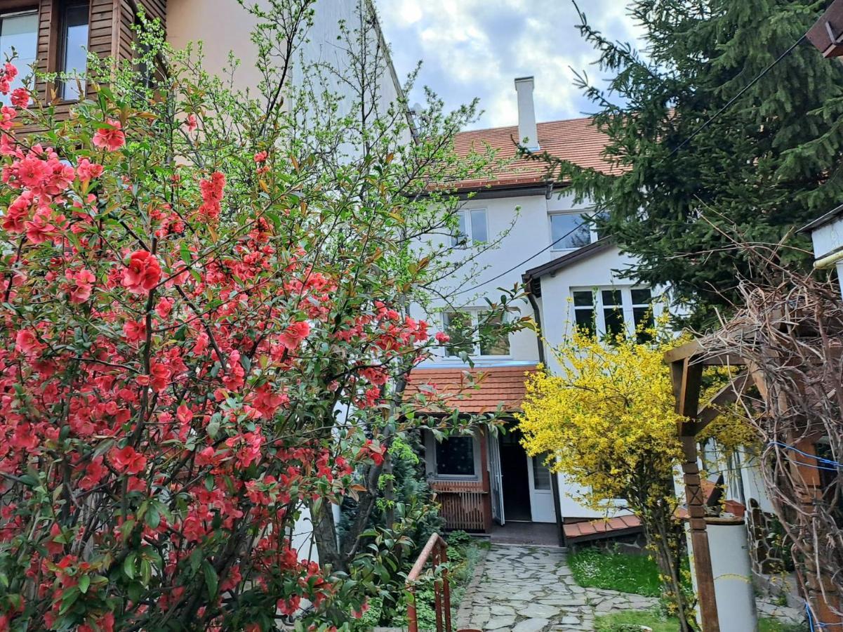 7 Level Central Apartments Miercurea Ciuc Luaran gambar