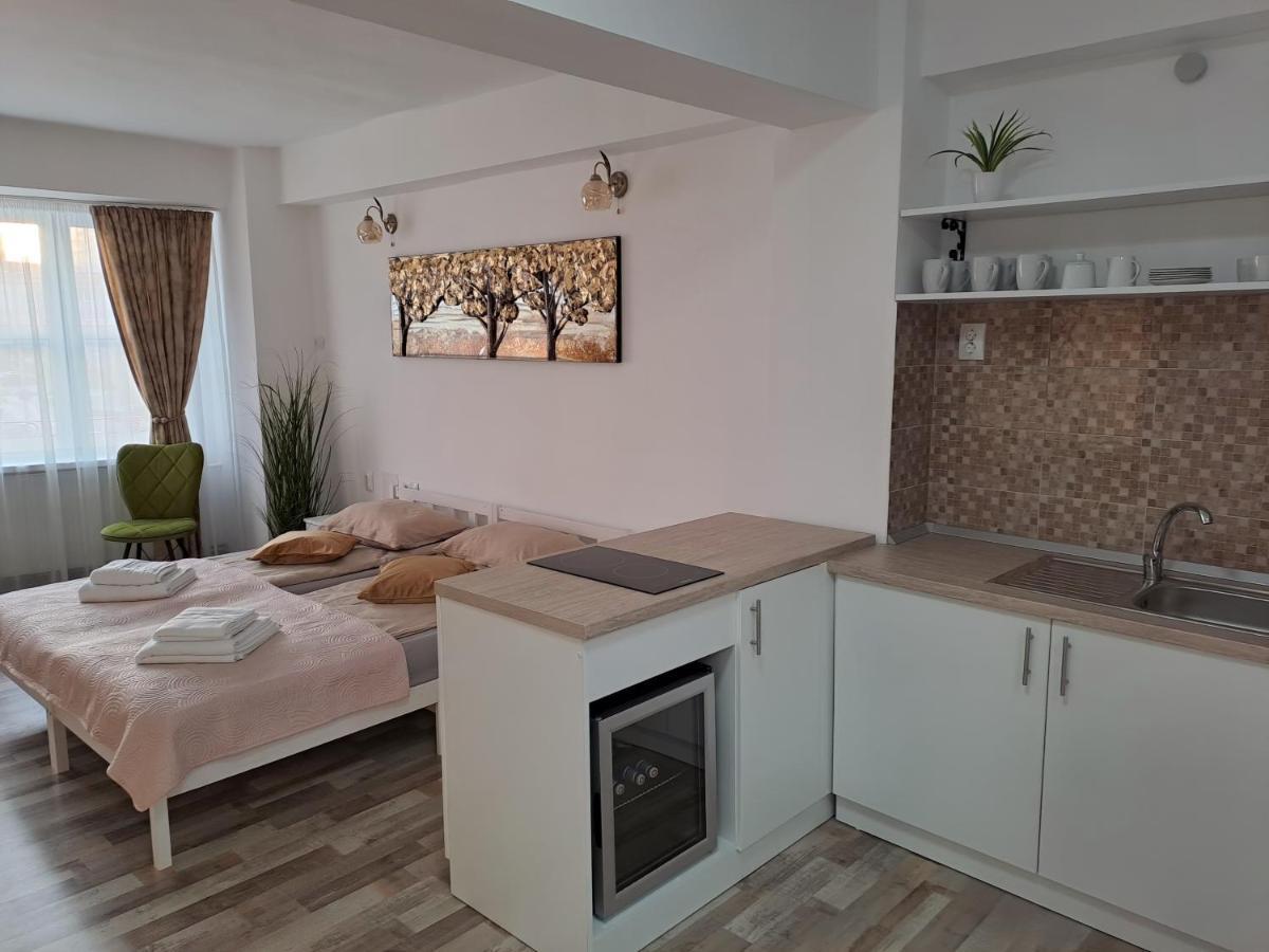 7 Level Central Apartments Miercurea Ciuc Luaran gambar